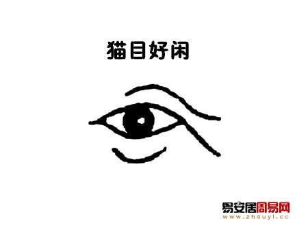 貓眼面相|貓眼看相算命